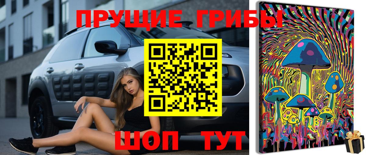 Кировск  сколько стоит  Вход с VPN  Галлюциногенные грибы Magic Shrooms  Галлюциногенные грибы Psilocybine cubensis 